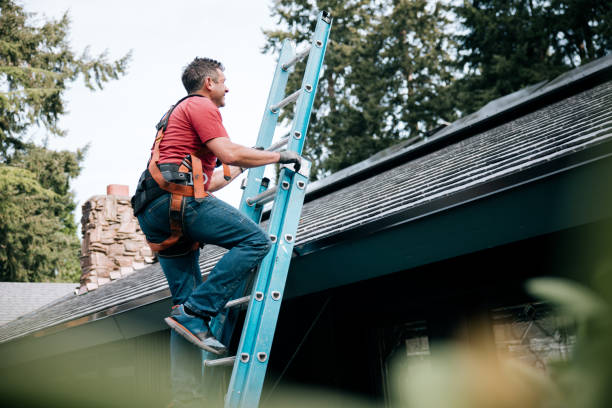 Best 4 Ply Roofing  in Mexia, TX