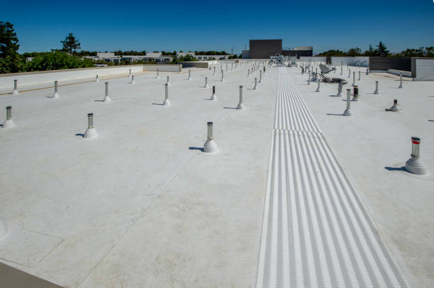 Best Asphalt Shingle Roofing  in Mexia, TX